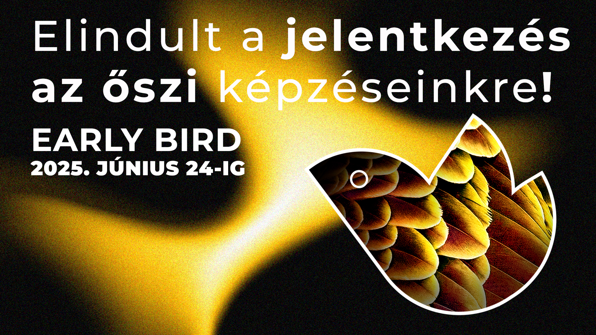 Jelentkezz őszi képzéseinkre early bird áron